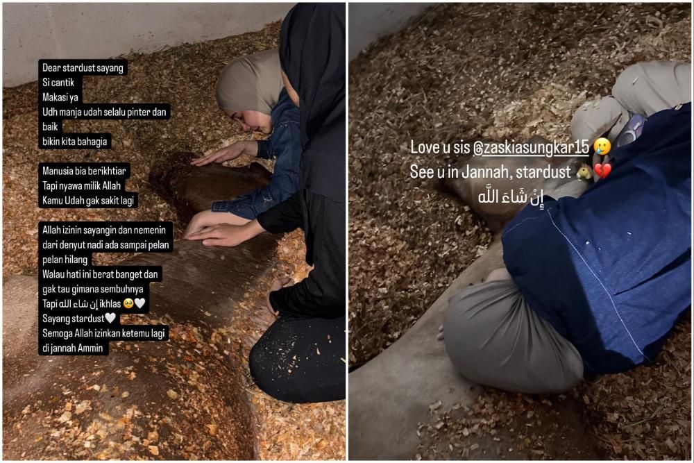 Zaskia Sungkar dan Keluarga Hancur kehilangan Kuda Kesayangan, Kisahnya Mengharukan!