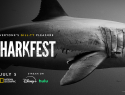SHARKFEST 2024: 25+ Hours of Jaw-Dropping Shark Content to Make Your Summer Roar!