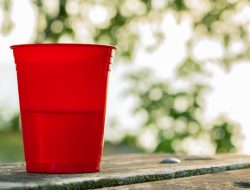 The Magic Tool That Transforms Plastic Cups Into Perfect Garden Planters The Magic Tool That Transforms Plastic Cups Into Perfect Garden Planters