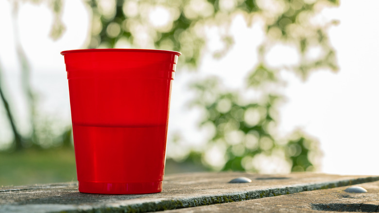 The Magic Tool That Transforms Plastic Cups Into Perfect Garden Planters
