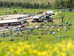 Support the Pebble Creek Ski Patrol at the 22nd Annual Wildflower Music Festival