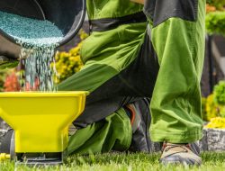 Is Ryobi’s 18V One+ Power Spreader the Must-Have Tool? Find Out Now! Is Ryobi’s 18V One+ Power Spreader the Must-Have Tool? Find Out Now!