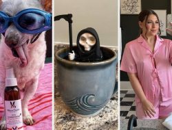27 Amazon Finds with Unbeatable Reviews—You Won’t Believe What They Are!