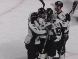 Utah Grizzlies Considering a Potential Sale: What’s Next for the Organization? Utah Grizzlies Considering a Potential Sale: What’s Next for the Organization?