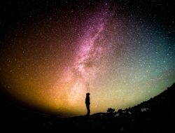 Ceres Unveiled: Mastering Emotional Nourishment and Healing Ceres Unveiled: Mastering Emotional Nourishment and Healing