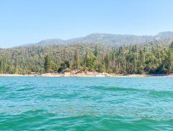 Paddling Paradise: Dog-Friendly Kayaking at Bass Lake’s Miller’s Landing Paddling Paradise: Dog-Friendly Kayaking at Bass Lake’s Miller’s Landing