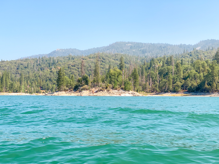 Paddling Paradise: Dog-Friendly Kayaking at Bass Lake’s Miller’s Landing