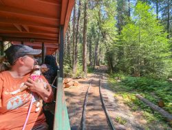 Explore Yosemite’s Sugar Pine Railroad with Kids and Pets: A Family Adventure Explore Yosemite’s Sugar Pine Railroad with Kids and Pets: A Family Adventure