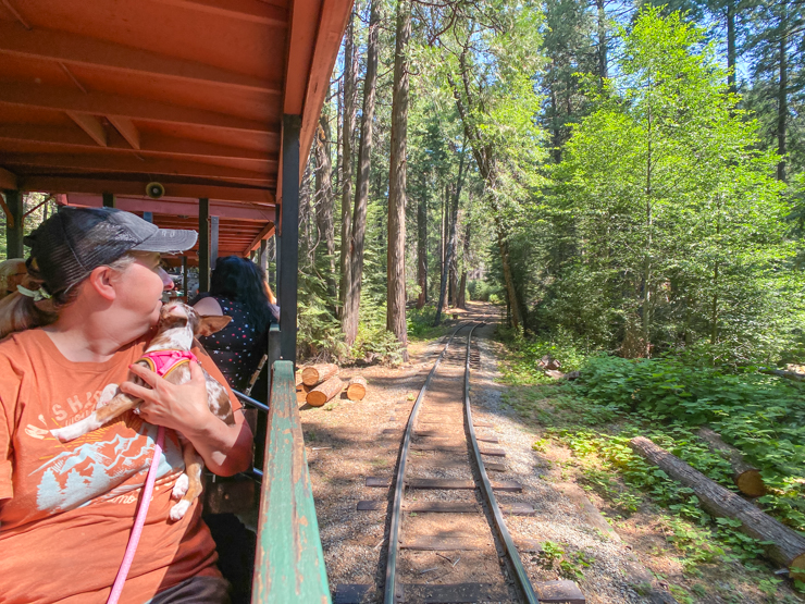 Explore Yosemite’s Sugar Pine Railroad with Kids and Pets: A Family Adventure