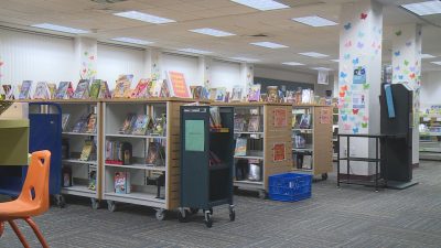 Summer Reading Program at La Crosse Public Library Keeps Kids Engaged