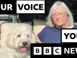 Rising Vet Bills Lead to Increase in Euthanizations, BBC Reports