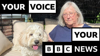 Rising Vet Bills Lead to Increase in Euthanizations, BBC Reports
