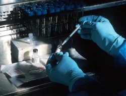 Japan’s SMBC Pours Investment Into Biotech Fund Japan’s SMBC Pours Investment Into Biotech Fund