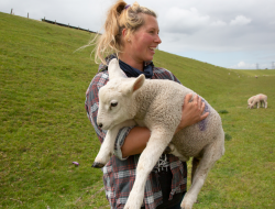 Rural Crime Costs: Farmers Feel Demoralized and Threatened