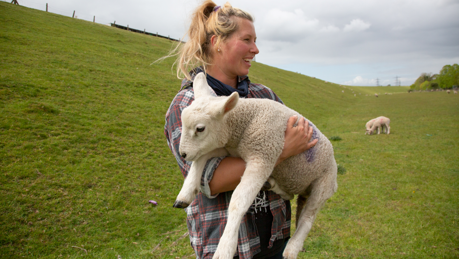 Rural Crime Costs: Farmers Feel Demoralized and Threatened