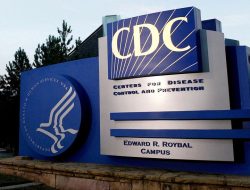 CDC Vaccine Presentation Cites Non-Existent Study, Author Claims
