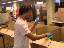 Youth and Austin Harvest Team Up to Deliver Healthy Groceries to Seniors on West Side Through Beyond Hunger Partnership Youth and Austin Harvest Team Up to Deliver Healthy Groceries to Seniors on West Side Through Beyond Hunger Partnership