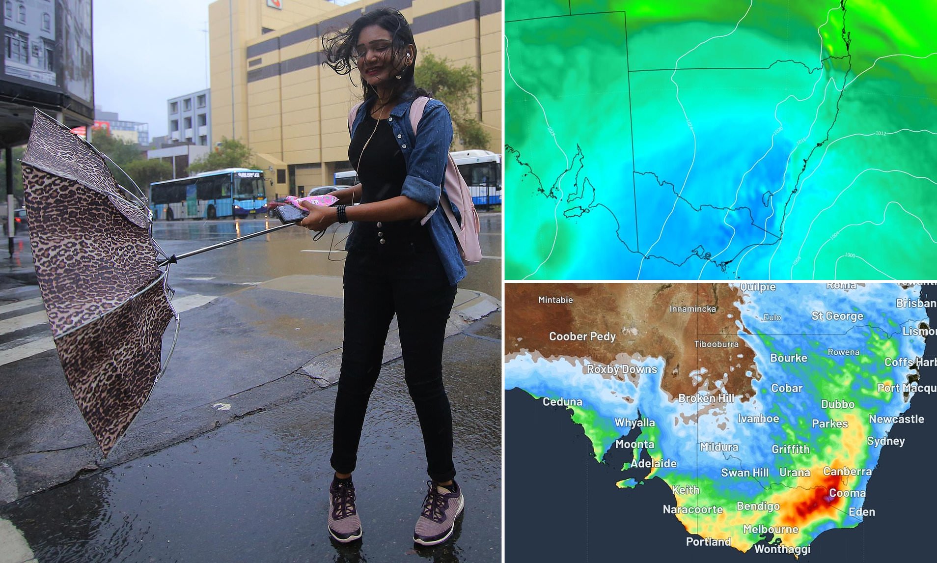 Polar Freeze Triggers Weather Warnings Across Five States