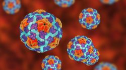 Deadly Virus Spreading Among Thousands of Travelers at 4 Popular Destinations