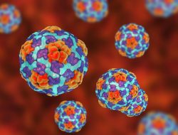 Deadly Virus Spreading Among Thousands of Travelers at 4 Popular Destinations