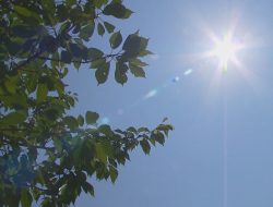 American Heart Association Urges Extra Precautions as Heat Wave Hits American Heart Association Urges Extra Precautions as Heat Wave Hits