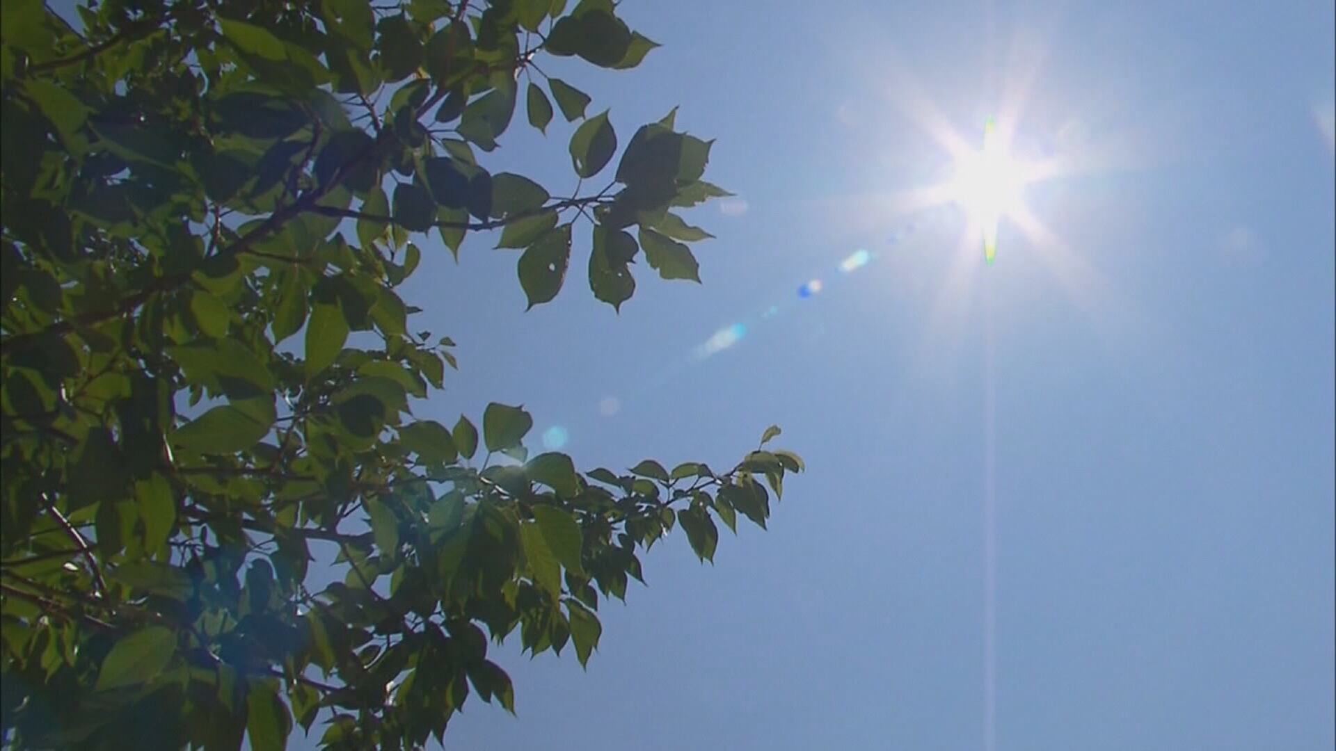 American Heart Association Urges Extra Precautions as Heat Wave Hits