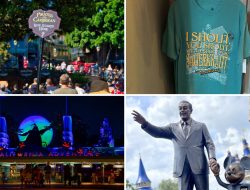 Pirates Lose Lightning Lane as CFTOD Unveils Fifth Disney World Park: Daily Update (6/24/25) Pirates Lose Lightning Lane as CFTOD Unveils Fifth Disney World Park: Daily Update (6/24/25)