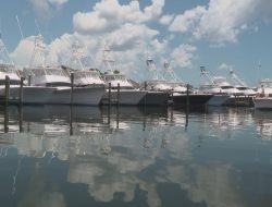 Bay Point Billfish Open: Exciting Schedule of Events Revealed Bay Point Billfish Open: Exciting Schedule of Events Revealed