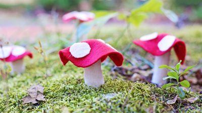 DIY Felt Mushrooms (No Sewing, No Stuffing—Pure Magic!)