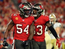 2025 Projections: Will Lavonte David Match His Takeaway Prowess in Tampa Bay?
