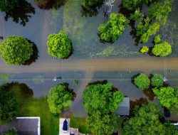VIDEO: Severe Flooding Hits Trinity Subdivisions as Heavy Rain Strikes