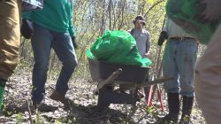 Green Up Vermont Declares Green Up Day 2025 a Resounding Success