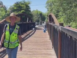 Retired Custodian Revives Downtown Greenway in Santa Rosa