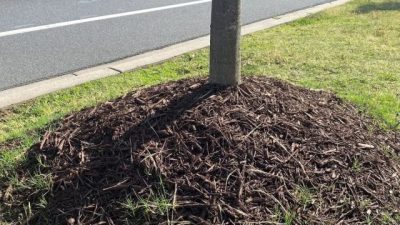 Pedestrian Frustrated: ‘Disastrous Trend’ Plagues Local College Campus, Sparking Outrage