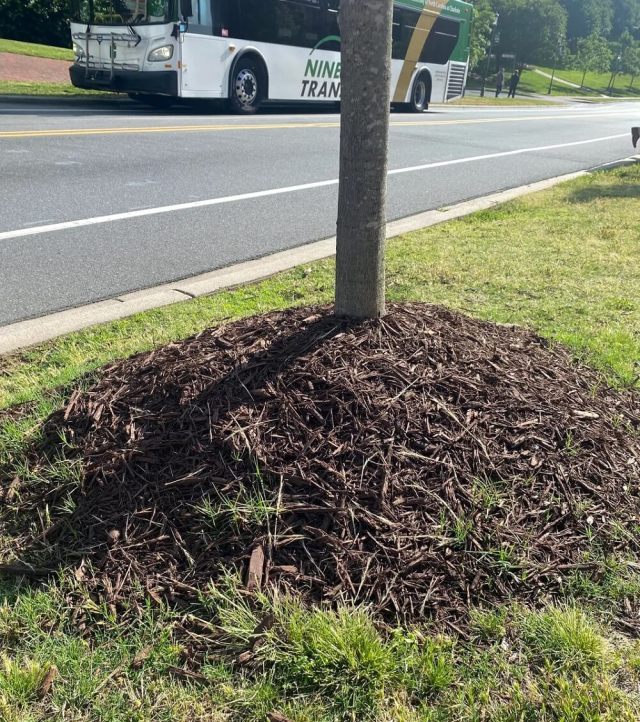 Pedestrian Frustrated: ‘Disastrous Trend’ Plagues Local College Campus, Sparking Outrage