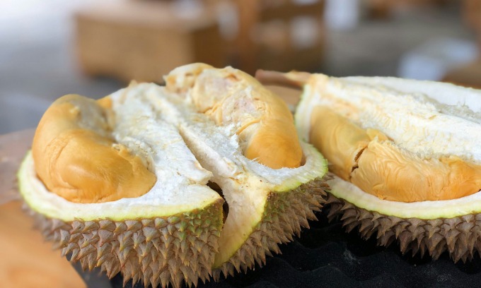 Battambang, Cambodia, Set to Host the Ultimate Durian Buffet Extravaganza!