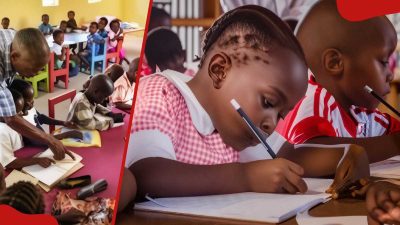ECDE Intake 2025: Colleges & Universities Requirements, Fees, and KNEC Exams – International Edition (English)