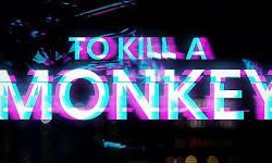 Kemi Adetiba Unveils Trailers for New International Crime Drama ‘To Kill a Monkey’