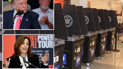 Trump Garnered Majority of Foreign-Born Hispanic Votes but Would Still Lose to Harris in a Universal Turnout Scenario: Analysis