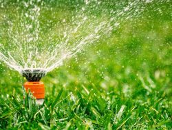 4 Surprising Mistakes That Ruin Your Lawn’s Health—and How to Fix Them