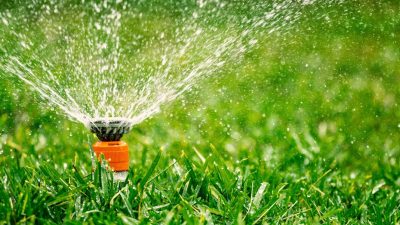 4 Surprising Mistakes That Ruin Your Lawn’s Health—and How to Fix Them