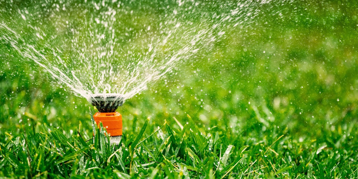 4 Surprising Mistakes That Ruin Your Lawn’s Health—and How to Fix Them