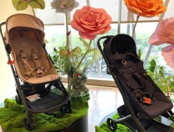 Rekomendasi Stroller Ideal untuk Keluarga Aktif: Ringan, Praktis, dan Hebat untuk Travelling Rekomendasi Stroller Ideal untuk Keluarga Aktif: Ringan, Praktis, dan Hebat untuk Travelling