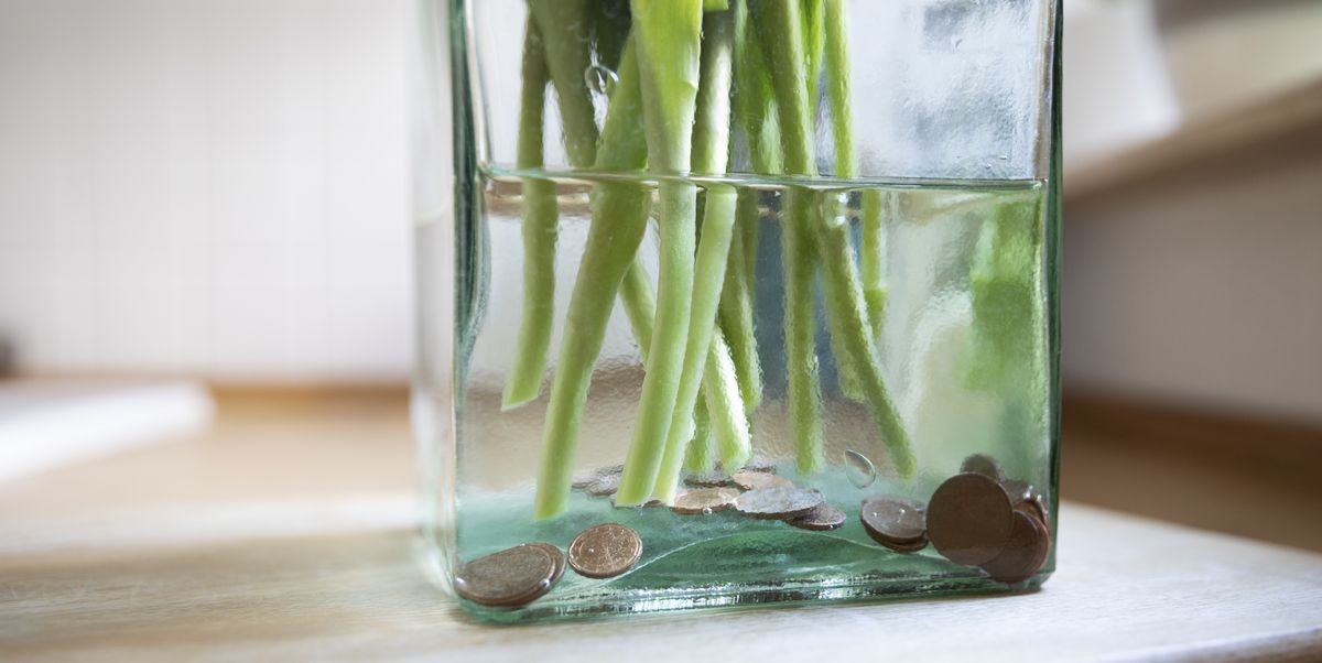 7 Game-Changing TikTok Gardening Hacks That Really Deliver
