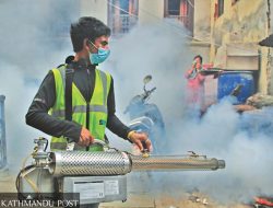 **Dengue Control Needs Your Help: Health Officials Call for Community Action** **Dengue Control Needs Your Help: Health Officials Call for Community Action**