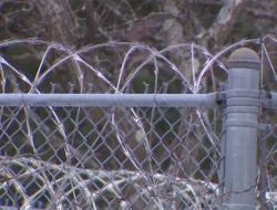 Inmate Overdose Sparks Hospitalization of 5 Correctional Staff