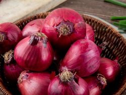 10 Khasiat Luar Biasa Bawang Merah Mentah bagi Kesehatan: Rahasia Alaminya yang Tak Banyak Diketahui 10 Khasiat Luar Biasa Bawang Merah Mentah bagi Kesehatan: Rahasia Alaminya yang Tak Banyak Diketahui