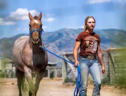 ‘Pawsome’ News for Pet Lovers: Utah Set to Launch State’s First 4-Year ‘Animal Doc’ Program