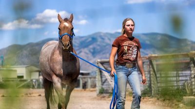 ‘Pawsome’ News for Pet Lovers: Utah Set to Launch State’s First 4-Year ‘Animal Doc’ Program