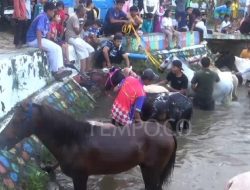 Ritual Unik Memandikan Kuda pada Malam Jumat Kliwon